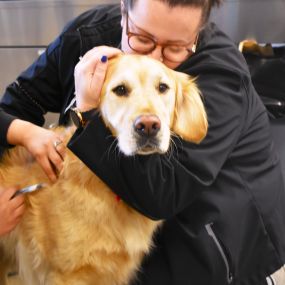 5280 Veterinary Care treats the pets of Denver, CO. We love to give TLC to our patients.