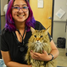 5280 Veterinary Care treats the pets of Denver, CO. We love to give TLC to our patients.