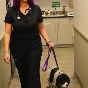 5280 Veterinary Care treats the pets of Denver, CO. We love to give TLC to our patients.