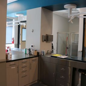 Our treatment area is used for a range of veterinary services, such as administering vaccines, preparing for surgeries, and performing nail trims.