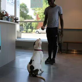 This patient was such a good boy during his wellness visit!