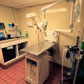 We are fully equipped with digital x-ray technology. This allows us to make a diagnosis faster!