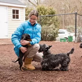 At Highland Animal Hospital, we don’t believe pets should be confined to cages. That’s why we offer safe and comfortable boarding services with plenty of playtime.