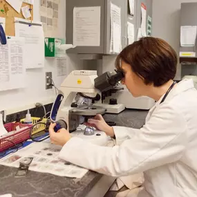 Dr. Sue Floyd examines a diagnostic test using a microscope in our convenient, fully equipped in-house lab. We are able to perform urinalysis, parasite testing, fungal cultures, blood work, and much more.