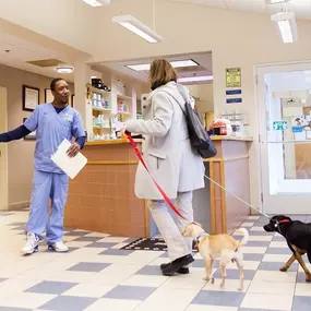 You can rely on the team at Highland Animal Hospital to provide a great client experience during every visit.