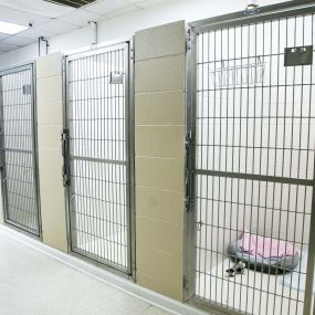 The boarding facilities at Parkville Animal Hospital are spacious and clean, providing the ultimate comfort for your canine friends.
