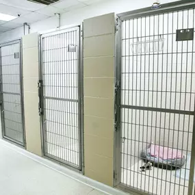 The boarding facilities at Parkville Animal Hospital are spacious and clean, providing the ultimate comfort for your canine friends.