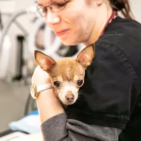 Our staff ensures the safety of every patient they see, and a comforting hug goes a long way!