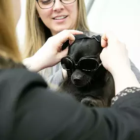 Safety 1st!  Goggles for everyone, even our patients :)