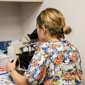 One of our highly trained team members is analyzing a sample in our practice’s fully equipped in-house diagnostic laboratory. These tools give us a direct view into your pet’s health, and having an in-house lab allows us to get results back to you quickly and efficiently.