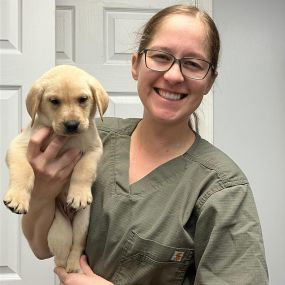 Our team member with a puppy patient