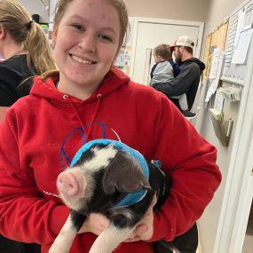 Our team member with an adorable piggy patient
