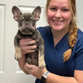 Our team member with a puppy patient