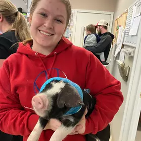 Our team member with an adorable piggy patient