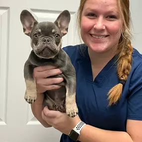 Our team member with a puppy patient