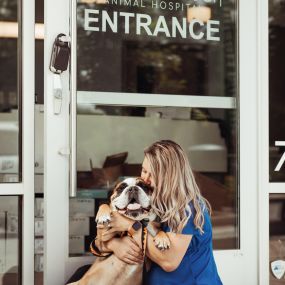 This sweet boy gets some love from one of our compassionate staff members. At Founders Green Animal Hospital, we understand how much your pet means to you and your family because we are pet-lovers ourselves!