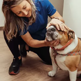 Part of our patient's annual visit includes a dental exam.  We check for dental disease, which is about more than just bad breath, but about your pet’s complete health! Oral bacteria puts pets at risk for painful teeth and gums, and more serious issues like organ damage.