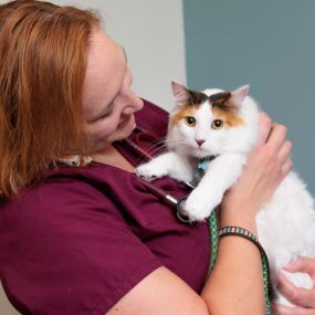 One of the best parts of the job: getting to snuggle with our patients!