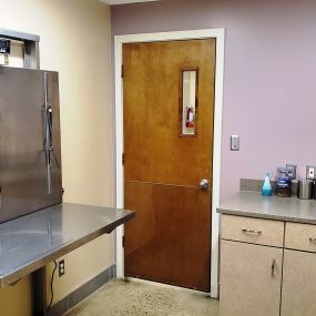 Our exam rooms are comfy and spacious!
