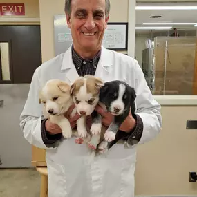 These first visits for puppies and kittens are especially fun and very important! We are passionate about getting your new pet off to a good start!