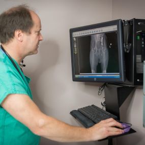 Dr. Schmidt takes a close look at a digital x-ray to make an accurate diagnosis.