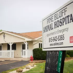 Pine Bluff Animal Hospital is an AAHA-Accredited Animal Hospital, the highest distinction in veterinary medicine.