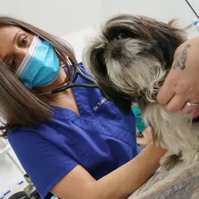 Dr. Maser is examining a dog during a wellness visit at Family Pet Clinic. During your pet's wellness exam, your veterinarian will conduct a thorough examination of your pet's body systems from nose to tail, considering the health of the mouth, eyes, ears, skin, joints, and much more.