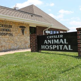 From our professional staff to our advanced facilities, Crysler Animal Hospital strives to ensure that your pets will receive excellent, compassionate care.