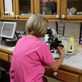 A member of our veterinary staff is using our in-house laboratory to test for conditions that cannot be seen by the naked eye. Having these tools right in our facility allows us to return results back to you more quickly and efficiently, so that we can provide proper treatment as soon as possible.