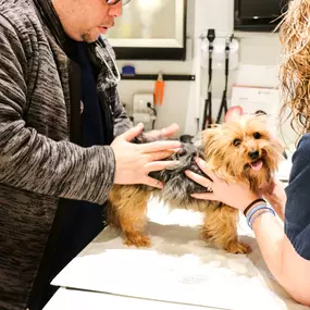 It looks like this patient is happy to be visiting Pure Paws!