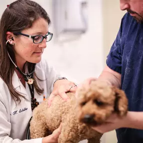 Using a stethoscope, Dr. Schilke is able to listen to her patient’s heart and lungs to check for anything that could be possibly concerning.