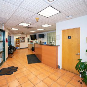 Our waiting area is light, clean, and comfortable for both our clients and their animal companions.