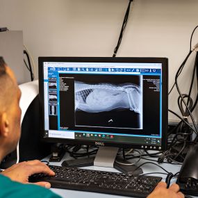 Radiographs (X-rays) are used to evaluate and diagnose problems within your pet’s organ system, including the heart, lungs, and in the abdomen, as well as orthopedic problems with the bones and spine. These problems can diagnose many conditions, such as fractured bones, cancerous tumors, enlarged heart, stones within the urinary tract, arthritis, pneumonia, and more.