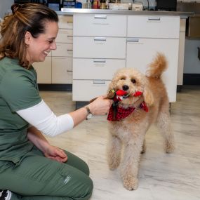 Nothing beats a little fun time with our patients!