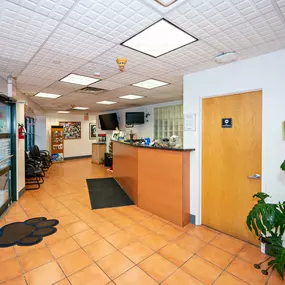 Our waiting area is light, clean, and comfortable for both our clients and their animal companions.