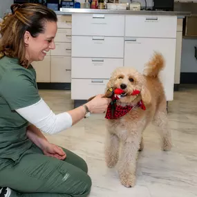 Nothing beats a little fun time with our patients!