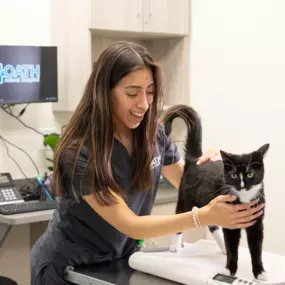 This good kitty is getting ready to be weighed before his wellness exam.