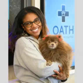 A team member at Oath Animal Hospital, East Meadow, NY, gently holds a patient.