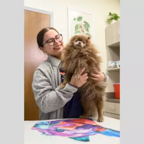 A team member at Oath Animal Hospital, East Meadow, NY, gently holds a patient.