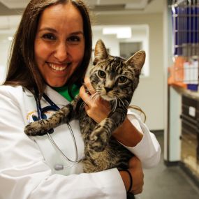 Dr. Stephanie Liff, veterinarian and owner, will do all it takes to keep your pets happy and healthy.