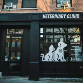 We love our NEW exterior window decals at Pure Paws Veterinary Care of Hell's Kitchen