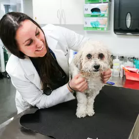 Dr. Stephanie Liff is a passionate veterinarian committed to keeping her patients happy, healthy, and by their human family members’ sides.