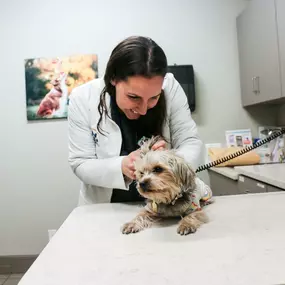 We handle each and every patient with the understanding that comes from years of veterinary experience and the gentleness that comes from a deep admiration for animals.