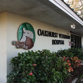 Oakhurst Veterinary Hospital opened in 1977 to provide top quality veterinary care for the pets in their community and outstanding support for the people who love them.