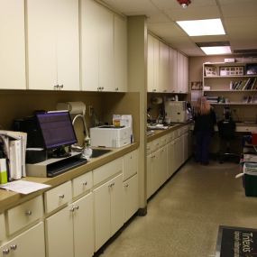 The in-house lab at Oakhurst Veterinary Center is capable of analyzing an array of diagnostic tests such as blood work, skin scrapings, fecal samples, and more, with efficiency and accuracy.