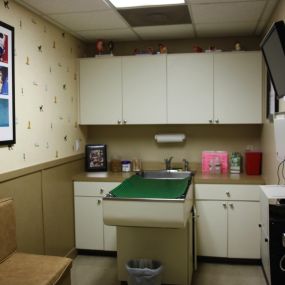 This is a multi-purpose exam room used for those important, routine wellness visits, and ultrasound and x-ray consultations.