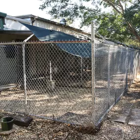 Our boarding facility is clean and spacious with outdoor runs, and tended to by a trained team of kennel technicians.