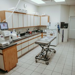 Bay Ridge Animal Hospital treatment room.