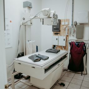 Bay Ridge Animal Hospital is fully equipped with advanced diagnostic technology, like digital radiography (X-ray).  Digital radiography produces clear and high-quality images for the most accurate diagnoses.