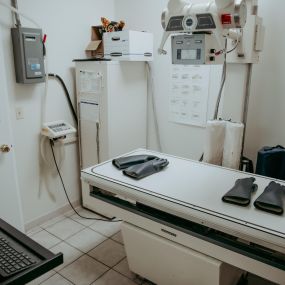 Bay Ridge Animal Hospital is fully equipped with advanced diagnostic technology, like digital radiography (X-ray).  Digital radiography produces clear and high-quality images for the most accurate diagnoses.